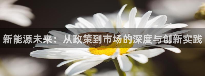 菲律宾新宝gg娱乐