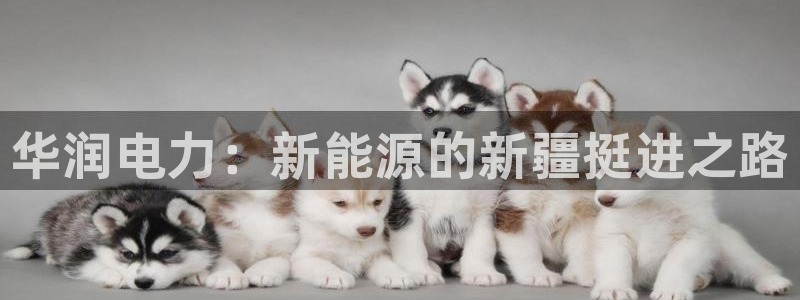 新宝gg奖金
