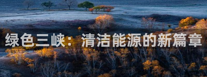 新宝gg辅助