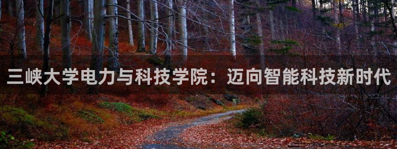新宝gg下载
