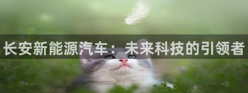 新宝gg挣钱