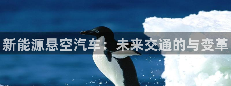 谁有新宝GG