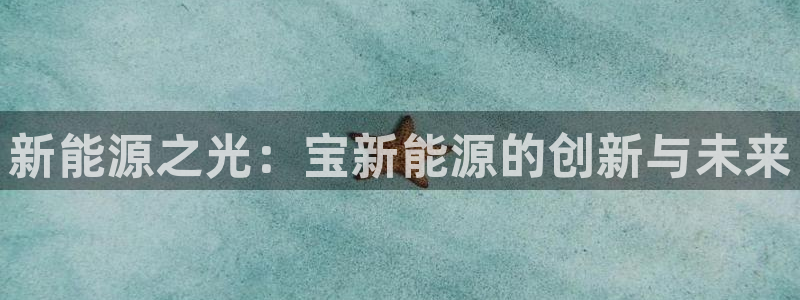 新gg官网_新宝GG创造奇迹：新能源之光