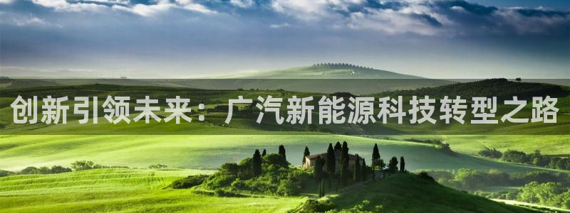 新宝GG湫33 300:创新引领未来:广汽新能源科技转型之路