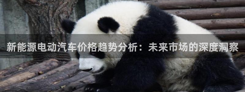 新宝gg返点:新能源电动汽车价格趋势分析:未来市场的深度洞察