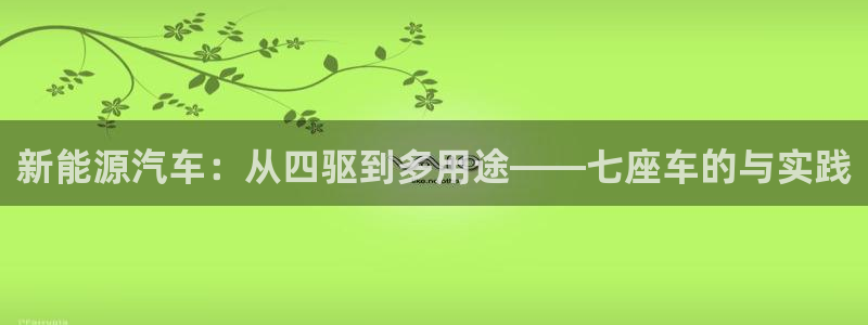 新宝创造Gg：新能源汽车：从四驱到多用途