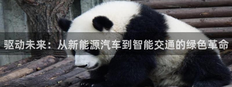 新宝gg平台连接：驱动未来：从新能源汽车