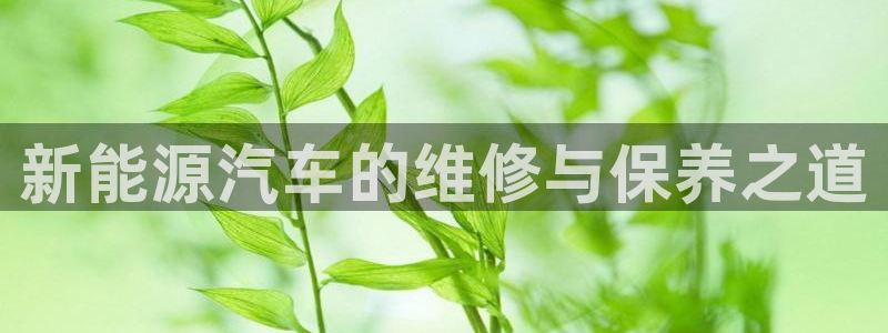 新宝 gg 登:新能源汽车的维修与保养之道