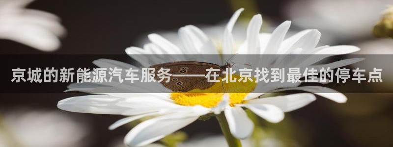 新宝gg测试：京城的新能源汽车服务——在