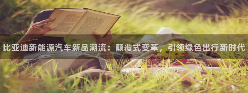 新宝GG国际:比亚迪新能源汽车新品潮流:颠覆式变革,引领绿色