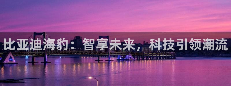 新宝gg有假吗:比亚迪海豹:智享未来,科技引领潮流