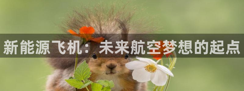 新宝gg ios下载:新能源飞机:未来航空梦想的起点
