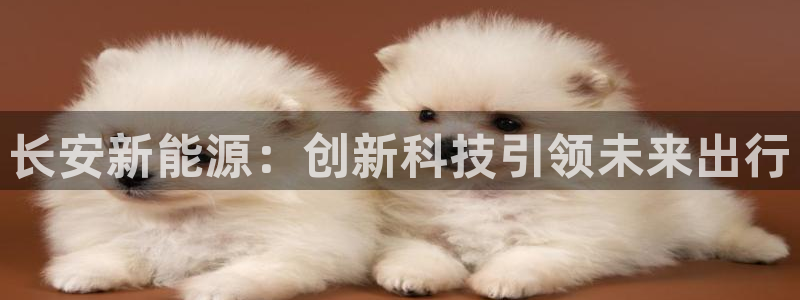 新宝gg6:长安新能源:创新科技引领未来出行