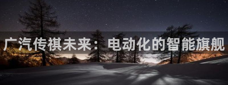 新宝GG网页:广汽传祺未来:电动化的智能旗舰