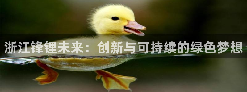 新宝gg信息:浙江锋锂未来:创新与可持续的绿色梦想