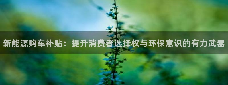 新宝gg 金苹果:新能源购车补贴:提升消费者选择权与环保意识