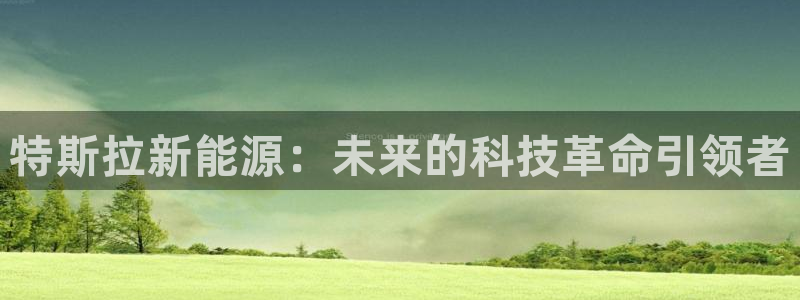 新宝gg会员:特斯拉新能源:未来的科技革命引领者
