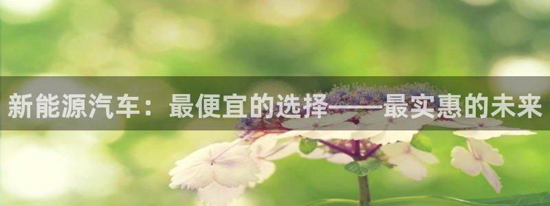 新宝gg高频彩票:新能源汽车:最便宜的选择——最实惠的未来