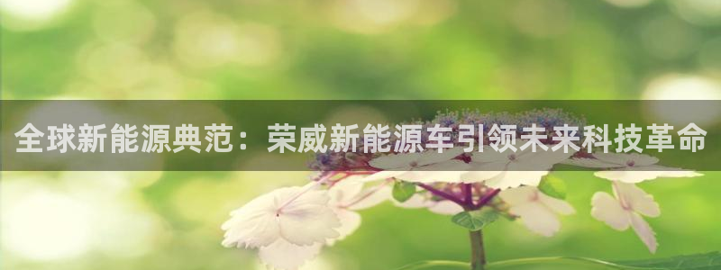 新宝gg平台gg登录gg网址:全球新能源典范:荣威新能源车引