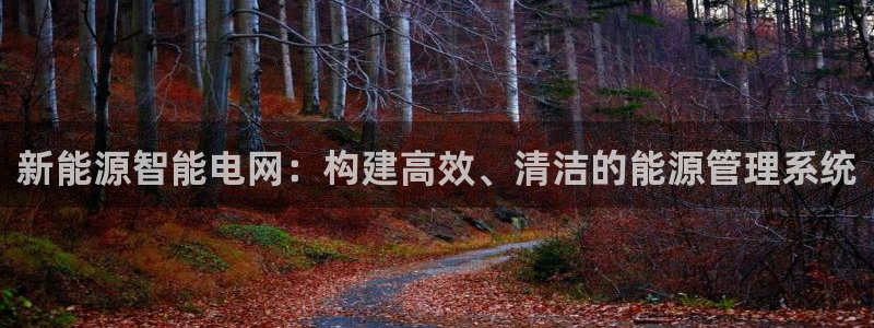 新宝GG啦78778:新能源智能电网:构建高效、清洁的能源管