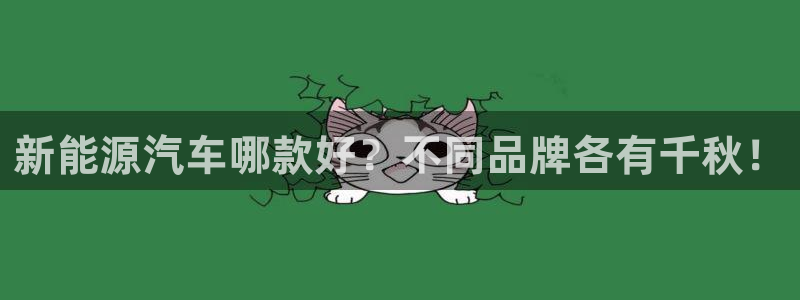 gg新宝创新:新能源汽车哪款好?不同品牌各有千秋!