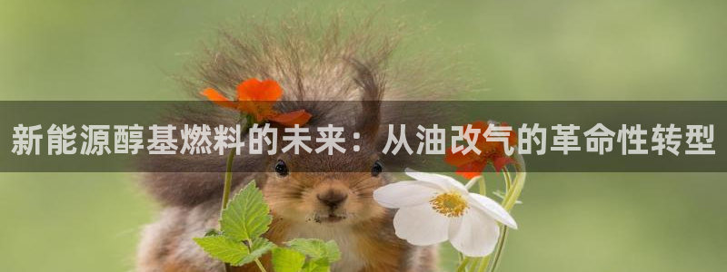 新宝gg是新宝几:新能源醇基燃料的未来:从油改气的革命性转型