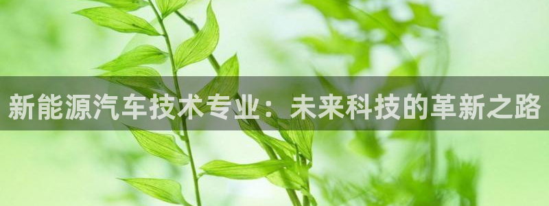 新宝 gg 登:新能源汽车技术专业:未来科技的革新之路