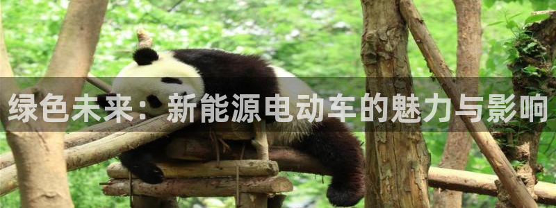新宝gg什么:绿色未来:新能源电动车的魅力与影响