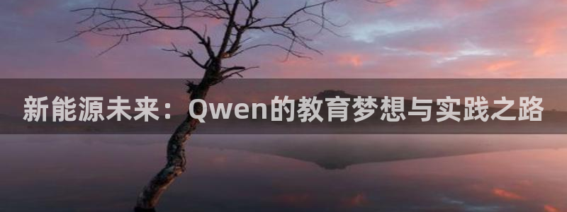 新宝GG管理:新能源未来:Qwen的教育梦想与实践之路