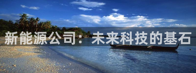 新宝GG上级