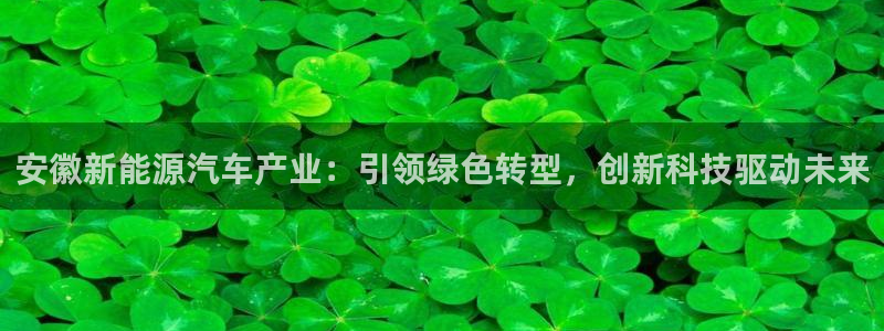 新宝GG最高返点多少：安徽新能源汽车产业