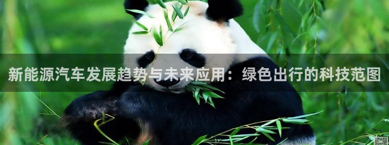 新宝gg娱乐登录地址：新能源汽车发展趋势