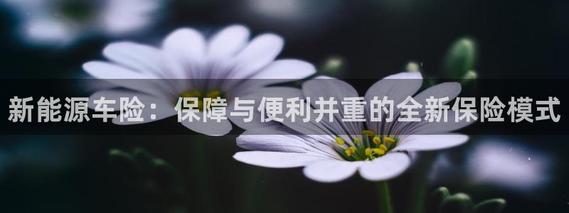 新宝GG创业奇迹