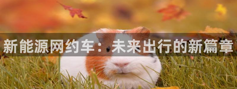 新宝gg网点:新能源网约车:未来出行的新篇章