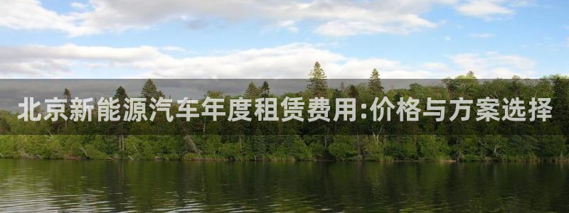 新宝gg为什么没人管：北京新能源汽车年度
