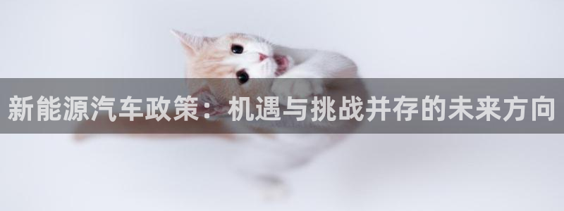 注册新宝gg：新能源汽车政策：机遇与挑战