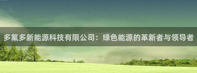 新宝gg登录链接：多氟多新能源科技有限公