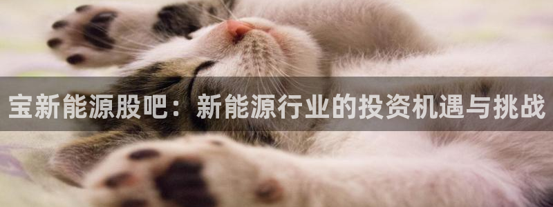 新宝gg网投