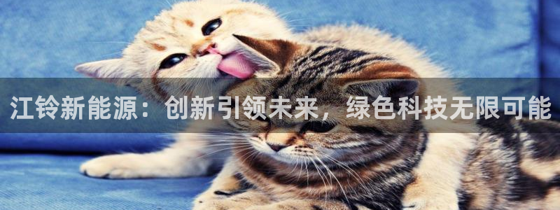 新宝gg注册 776317：江铃新能源：