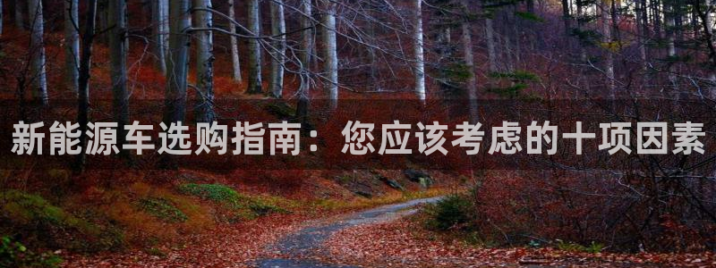 新宝 gg平台：新能源车选购指南：您应该