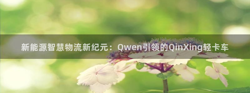 新宝 gg 登录注册:新能源智慧物流新纪元:Qwen引领的Q