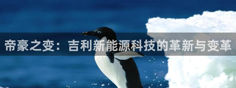 新宝GG无法充值