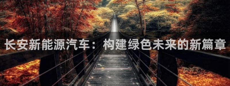 新宝GG手机客户端