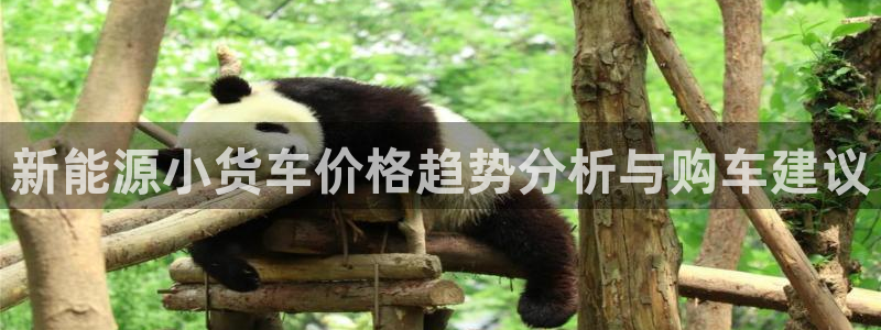 新宝太阳gg：新能源小货车价格趋势分析与