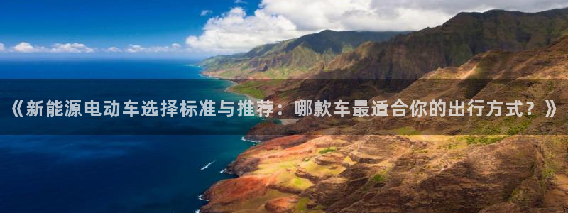 新宝gg注册新账号：《新能源电动车选择标