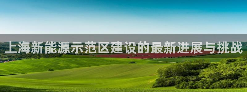 新宝gg怎么开户：上海新能源示范区建设的