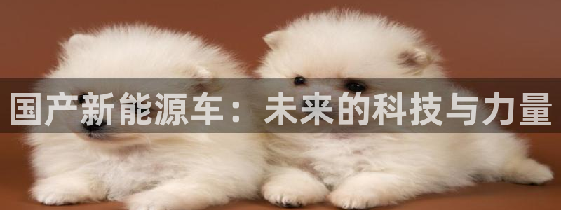 新宝gg投注:国产新能源车:未来的科技与力量