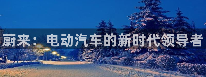 娱乐世界新宝gg:蔚来:电动汽车的新时代领导者