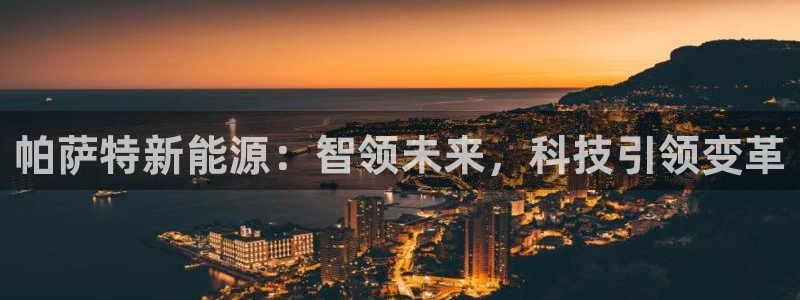 新宝gg返点模式:帕萨特新能源:智领未来,科技引领变革