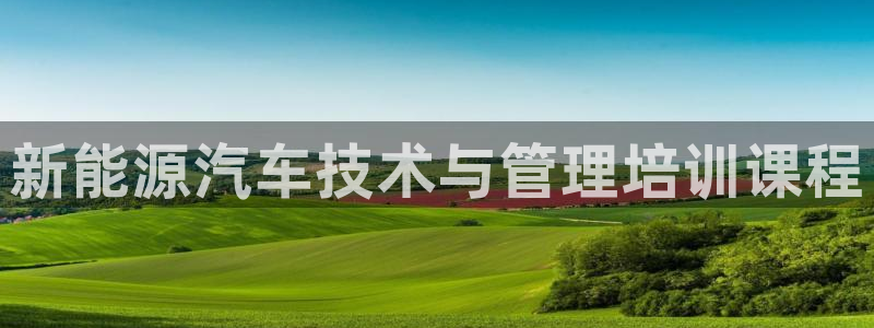 新宝gg为什么没人管